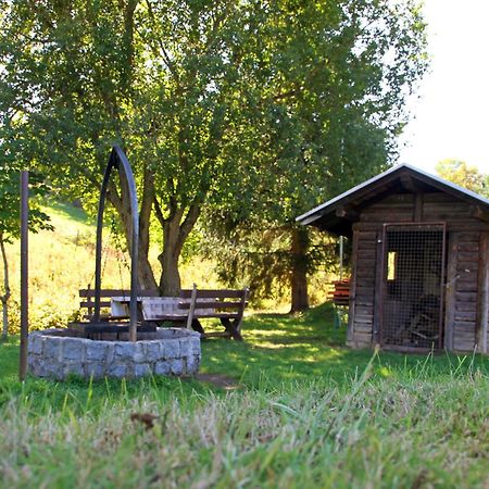 Brauereigasthof Rogg Lenzkirch Kültér fotó