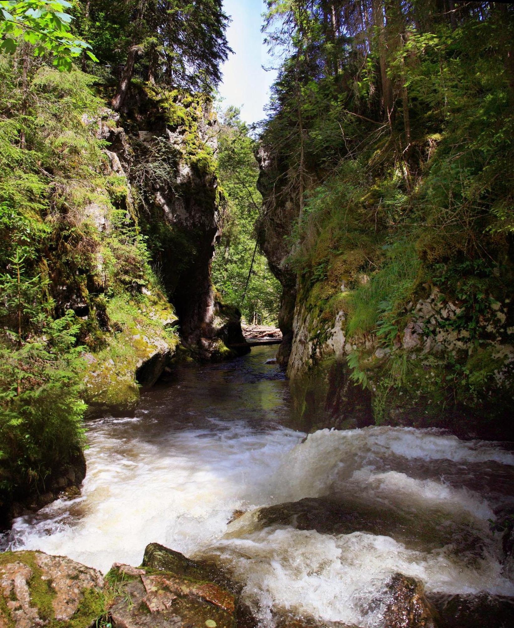 Brauereigasthof Rogg Lenzkirch Kültér fotó